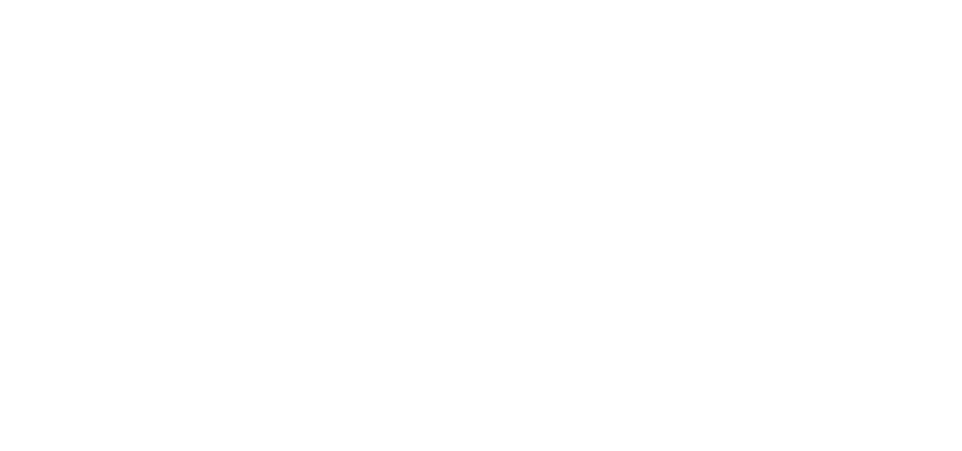 Adina Technologies